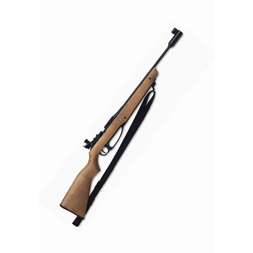 Daisy 853C EX Model Avanti Legend Gun