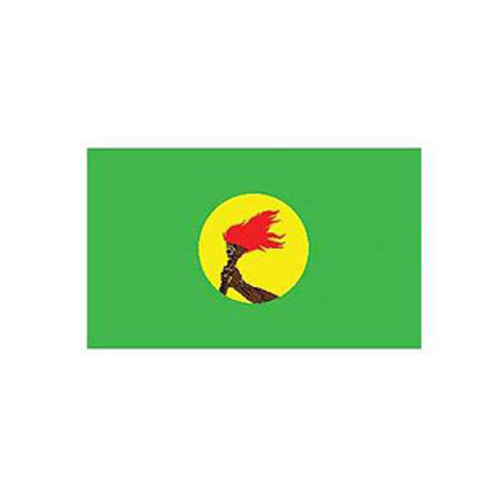 Flag-Zaire