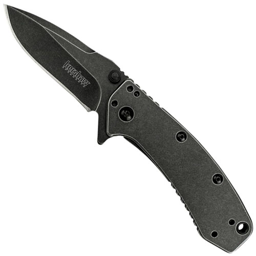 Kershaw Cryo BlackWash Spring Assisted Folding Knife