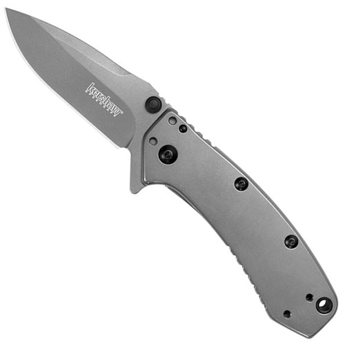 Kershaw Cryo Spring Assisted Opening Knife