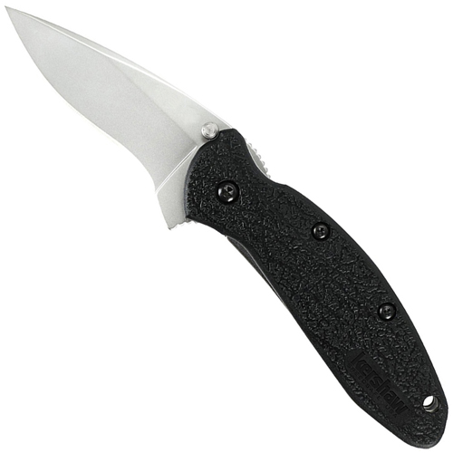 Kershaw 2.25 Inch Scallion Assisted Opening Black Folding Knife