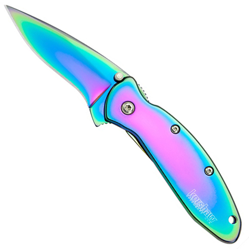 Kershaw Scallion Rainbow Stainless Steel Folding Knife