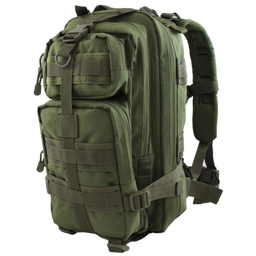 Raven X MOLLE Small Assault Backpack - Olive Drab