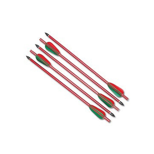 Crossbow Arrows 150 LB 5 Pieces