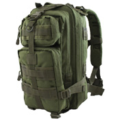 Raven X MOLLE Small Assault Backpack